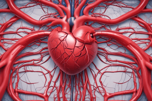 7)Cardiovascular System Circuitry Quiz