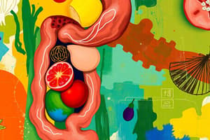 Digestive System and Nutrients Quiz