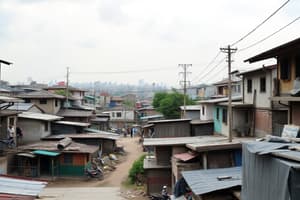 Urban Slums and Infrastructure Impact