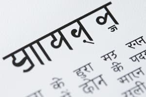 Overview of Hindi Language