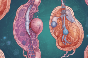 Biology: Reproductive Process and Embryo Development