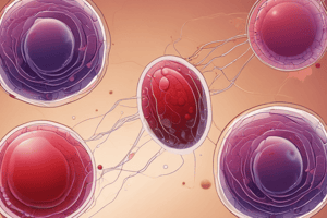 Physiology LE 2: RBC