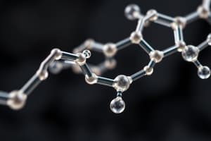 Amino Acids with Ionizable Side Chains