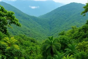 Mount Lico Rainforest Discovery Quiz