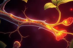 Plant Biology: Xylem vs Phloem Differences