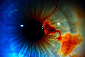 Ocular Diagnostic Imaging Quiz