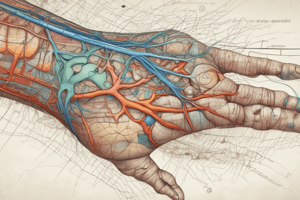 Dermatomes for Legs, Arms, and Trunk