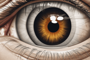 Ophthalmology: Phoria and Tropia