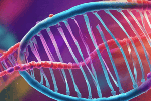 Function of Nucleic Acids