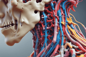 Cervical Spine Anatomy and Movement Quiz