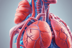 VTE Treatment Care Levels Quiz