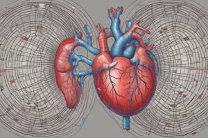 Understanding the Cardiac Cycle: Diastole, Contraction, and Relaxation