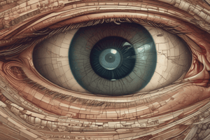 Visual Pathway and Retinal Fields