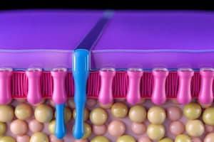 Transport Across Cell Membranes