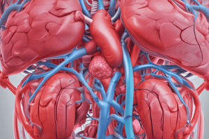 Kidney Anatomy and Imaging Techniques Quiz