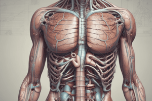 Gastrointestinal System: Stomach and Spleen