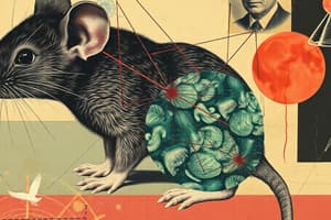 Mice Empathy and Pain Transmission