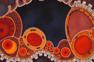 Cell Structure Overview