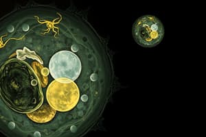 Cell Cycle and Mitosis Quiz