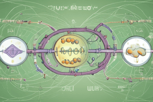 Ciclo da Ureia: Bioquímica do Metabolismo