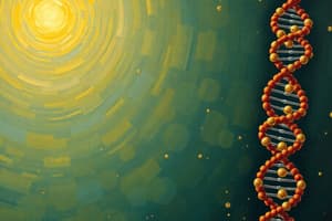 Protein Synthesis Overview