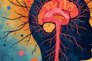 Nervous System Divisions: CNS and PNS