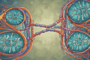 Introns and Gene Expression Regulation