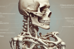 Bone Fracture Types