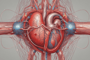 Aging Changes in Cardiac Arterial Systems