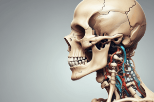 The Temporomandibular Joint Anatomy