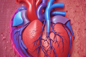 L13 Cardiac Cycle