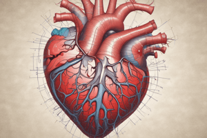 3.1 (2) Anatomy of the Heart: Cardiovascular System for BIOL2220