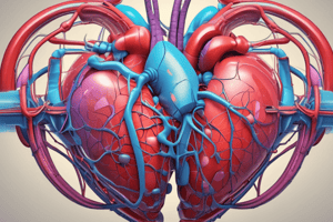 Ch 13 - Part 1 Anatomy of Cardiac Conduction System