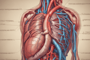 Pericarditis 2