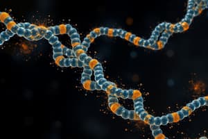 Biochemistry of Nucleic Acids Quiz