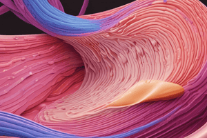 Smooth and Cardiac Muscle