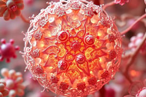 Eukaryotes vs Prokaryotes Quiz