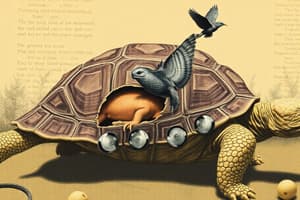 Turtle Biology: Species, Traits, and Habitats