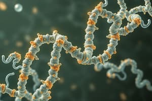 Protein Structure Overview