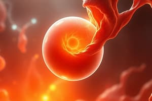 Embryonic Development and Cancer Biology Quiz