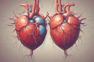 Ventricles Function Parameters