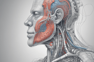 Ventilation Regulation: Carotid Body Cells