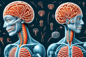 SEM_09_10_Cranial Nerve and Pharyngeal Arch Derivatives Quiz