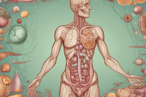 Protein Digestion and Nitrogen Balance