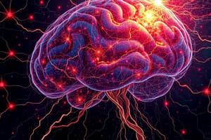 Motor Systems: Cortex, Ganglia, Cerebellum