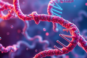 Basic Aspects of Nucleic Acids Quiz