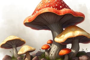 Mycology: Characteristics of Fungi