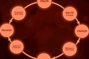 Biochemistry Lecture 20: Tricarboxylic Acid Cycle