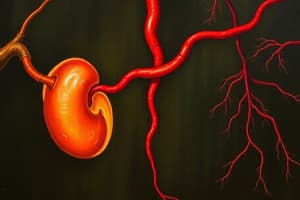 Kidneys Week 7 Study Guide