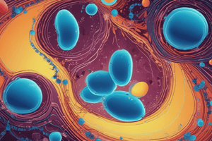 Types of Electrolytes and Potassium Function